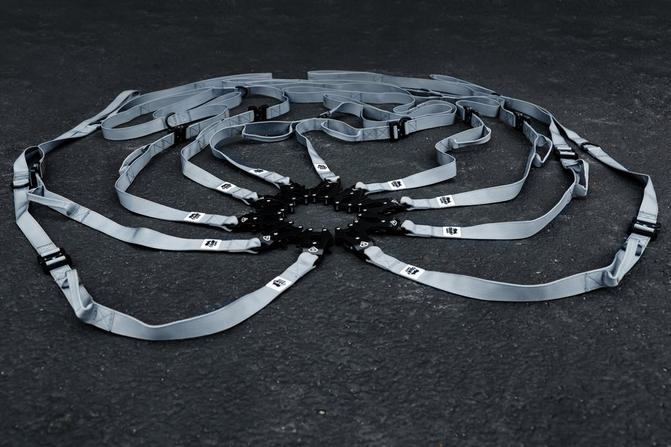 CHAMP GIO BELAYER LEASH