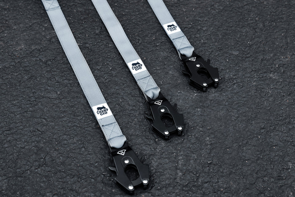 CHAMP GIO BELAYER LEASH