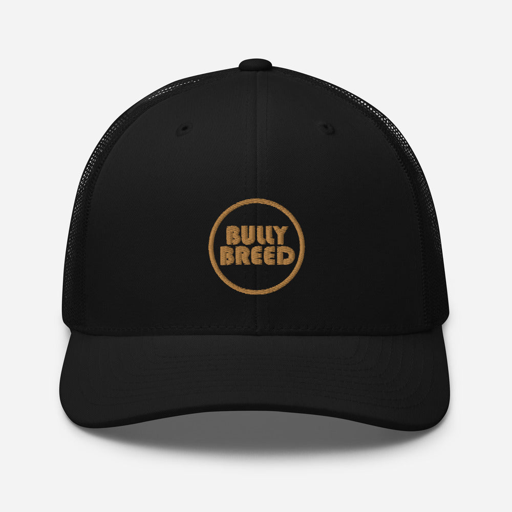 Bully Breed Snapback | Gold Logo