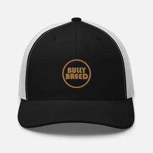 Bully Breed Snapback | Gold Logo